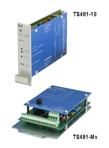Honigmann TS481 Strain Gauge Measurement Amplifier