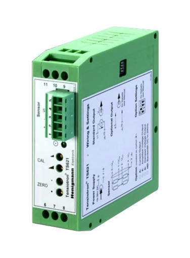 TS621 Strain Gauge Amplifier